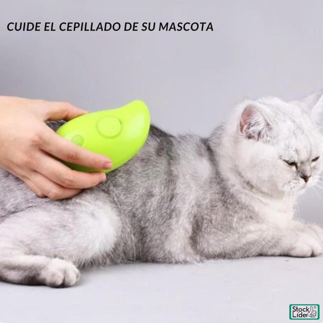 Detalle del depósito pulverizador del cepillo para mascotas